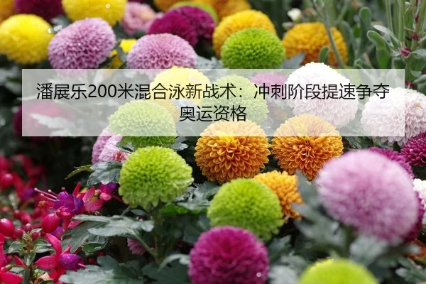 潘展乐200米混合泳新战术：冲刺阶段提速争夺奥运资格
