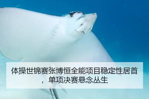 体操世锦赛张博恒全能项目稳定性居首，单项决赛悬念丛生