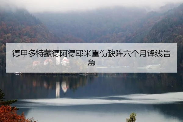 德甲多特蒙德阿德耶米重伤缺阵六个月锋线告急
