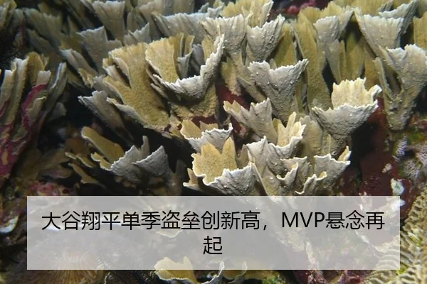 da-gu-xiang-ping-dan-ji-dao-lei-chuang-xin-gao-xuan-nian-zai-qi-3-639.jpg